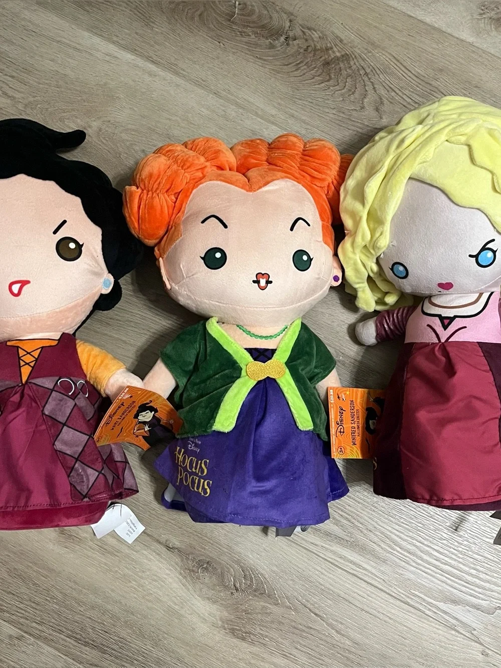 Disney hocus pocus